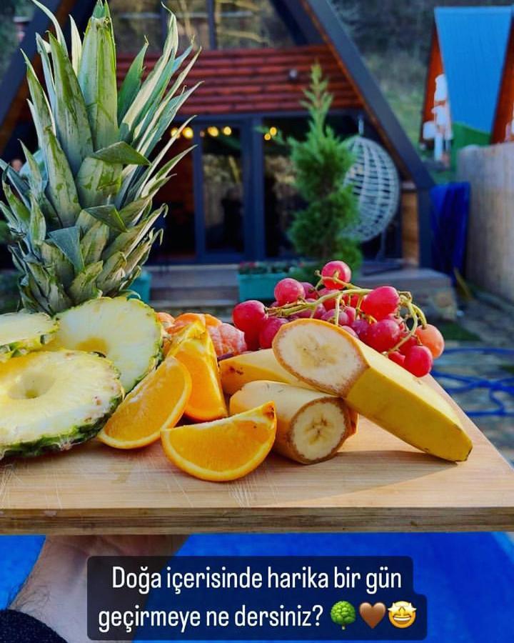 Seyyah Bungalov Sakarya  Zewnętrze zdjęcie